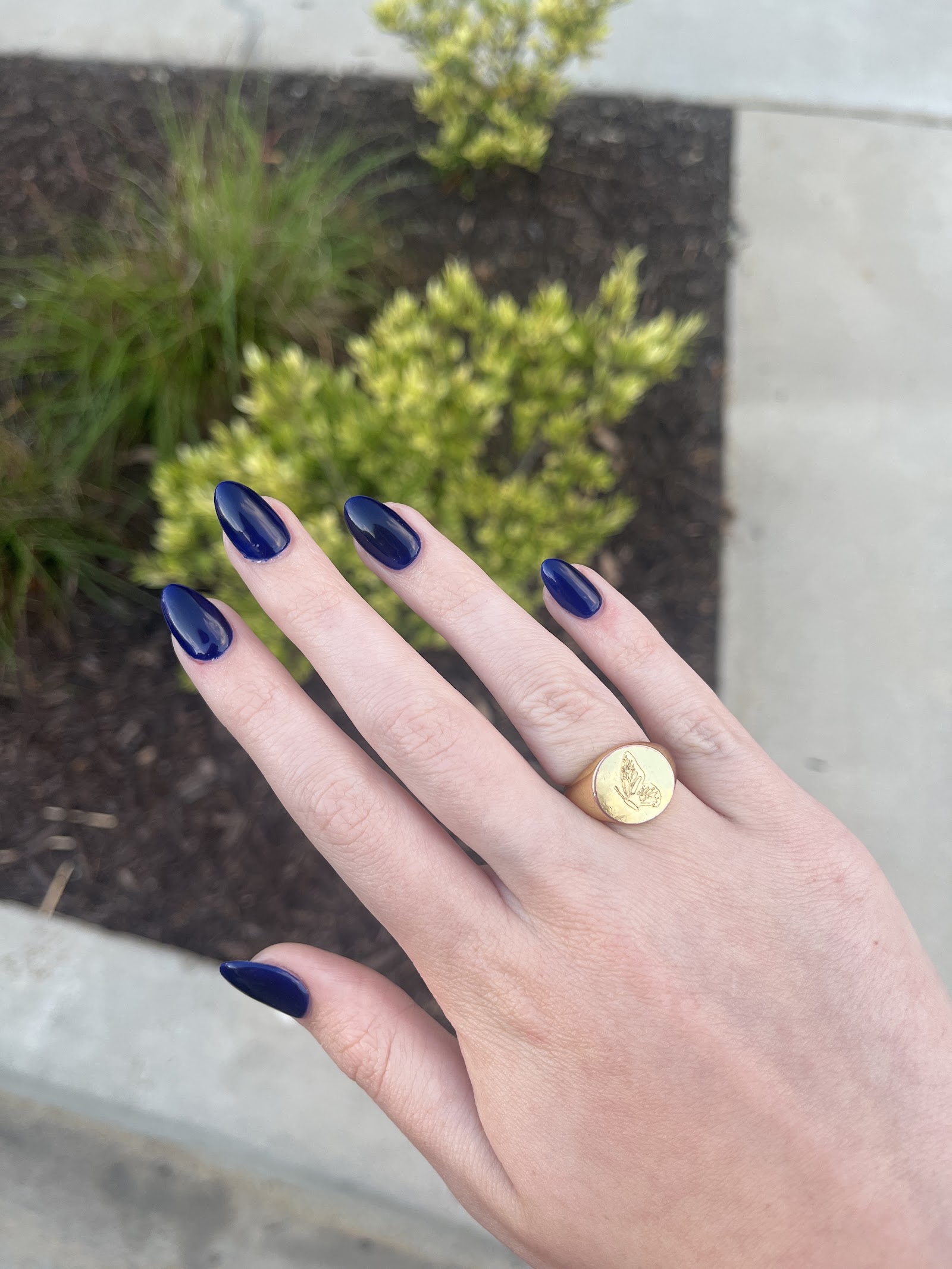 Alpha Nails & Spa Clemson nail photo 5